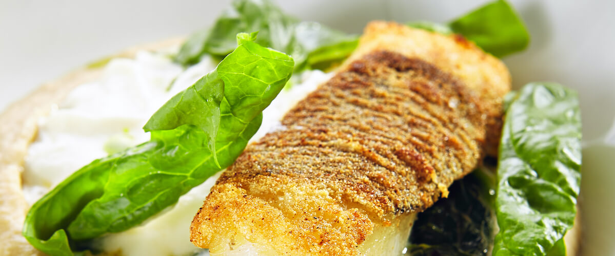 Nut crusted halibut evolution nutrition
